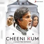 Cheeni Kum - Vijay Song Download